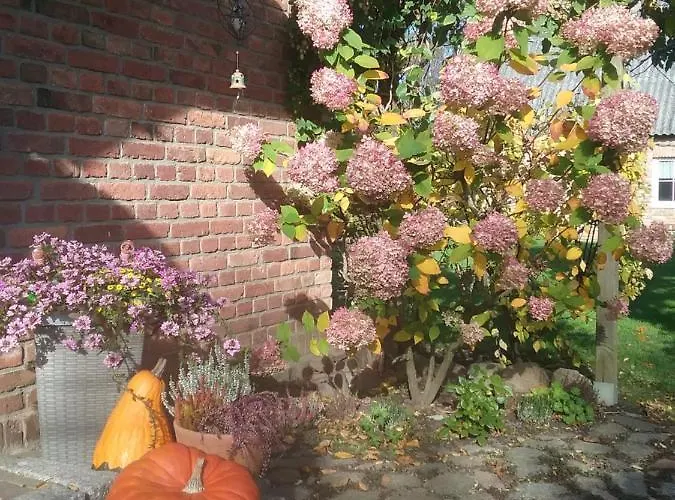 Apartment Paula, Kluis